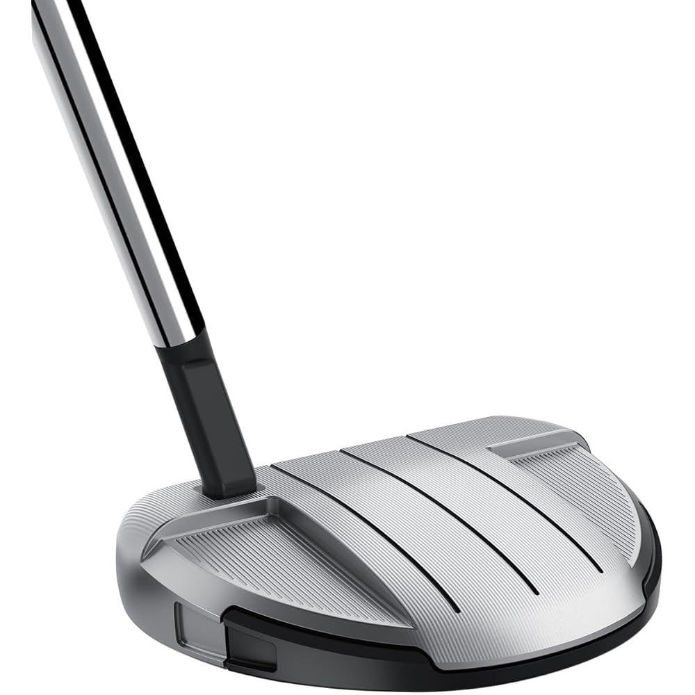 TAYLOR MADE SPIDER GT Rollback Putter Small Slant Men's Golf Club Right Hand PT Hosel Type: Small Slant