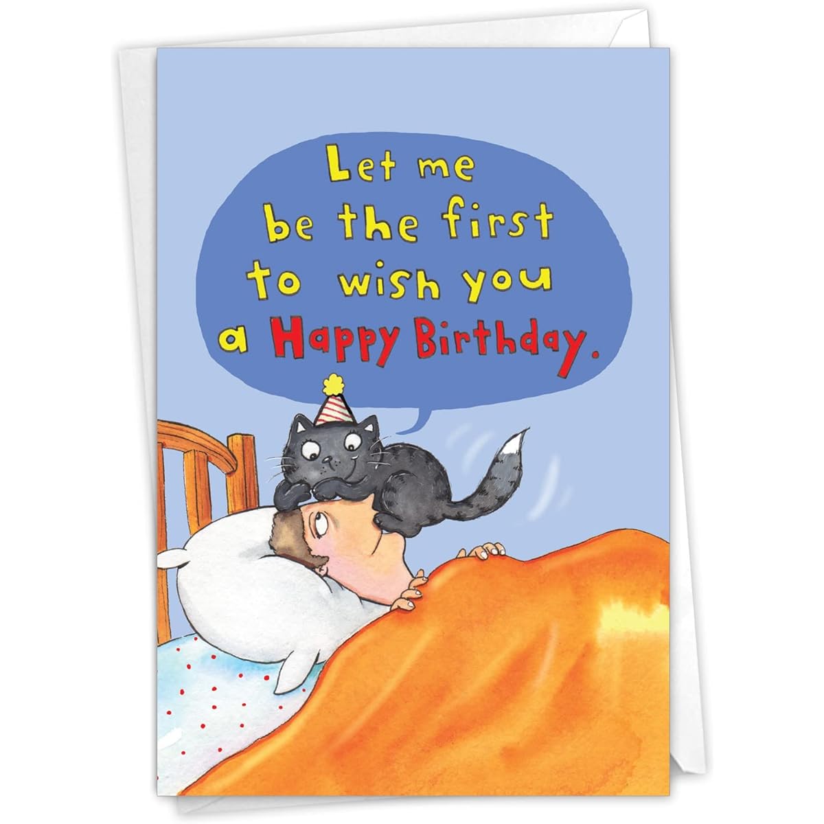 NobleWorks Cat on Head - Birthday Greeting Card with Envelope (4.63 x 6.75 Inches) - C3791HBDG