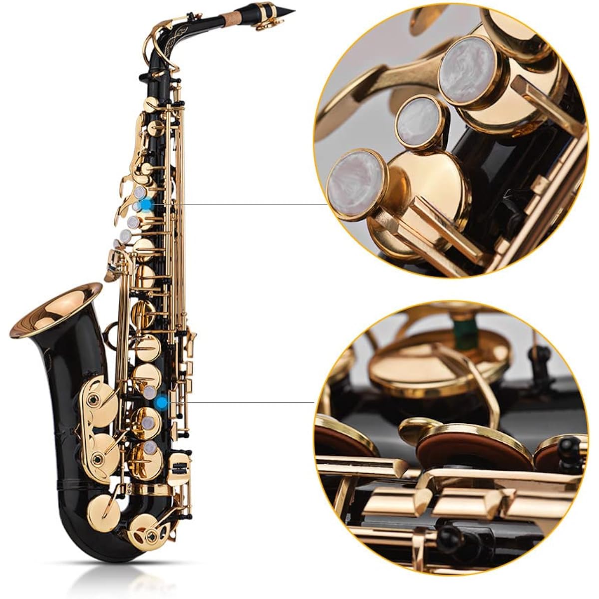SHUBIAO Eb Alto Saxophone Brass Lacquer Gold 82Z Key Type Woodwind Instrument Padded Carry with Case Cleaning Cloth Brush Saxophone Strap Reed