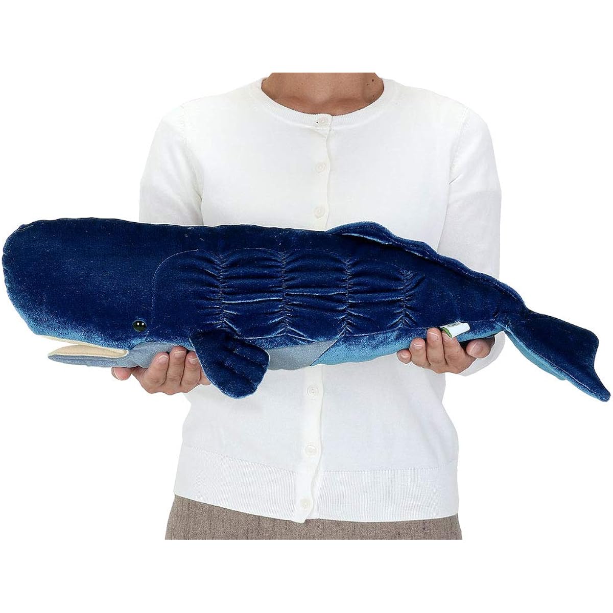 Colorata Sperm Whale Plush Toy (62 x 27 x 14 cm / Gentle Touch) Realistic Whale Animal Toy Doll Gift Present Birthday (Meter Read 2 Times)