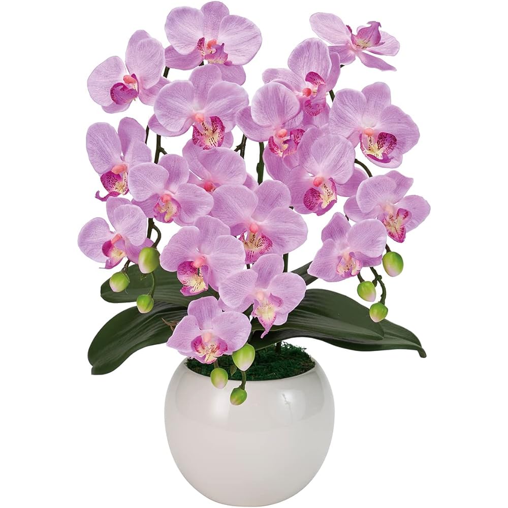 Tokyodo Artificial Flowers MAGIQ AX Pure Orchid 3-Piece (Fallenomily) Flower Diameter 6.5~8.5 x W30 x H40cm 1 Pot ZV008070-050