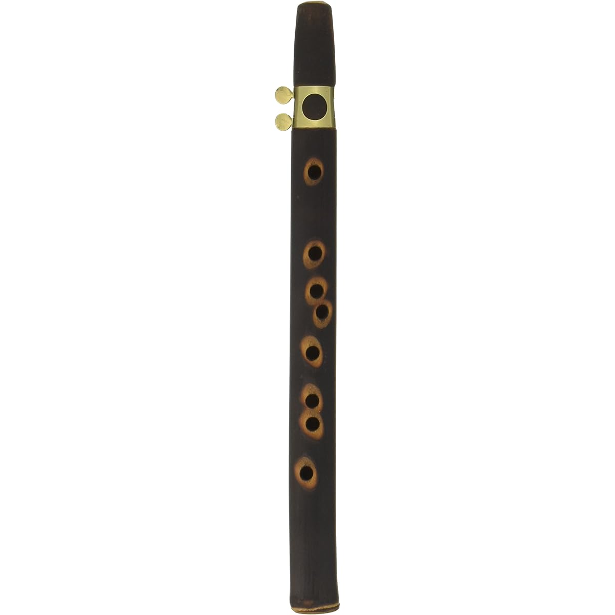 Xaphoon Bamboo Saxophone BAMBOO SAX (Key C) [Domestic regular product]