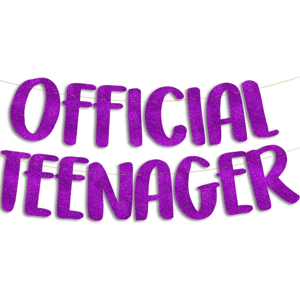 Teenager Official Purple Glitter Banner - 13th Birthday Party Decorations Gifts and Supplies