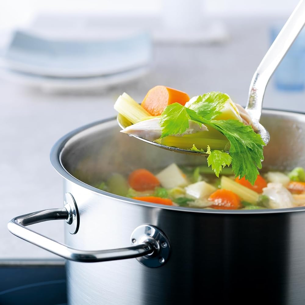 Fissler Double Handed Pot Stainless Steel 20cm Viseo Stew Pot with Glass Lid Gas Fire/IH Compatible Heat Resistant Waterless Cooking 084-117-20-001