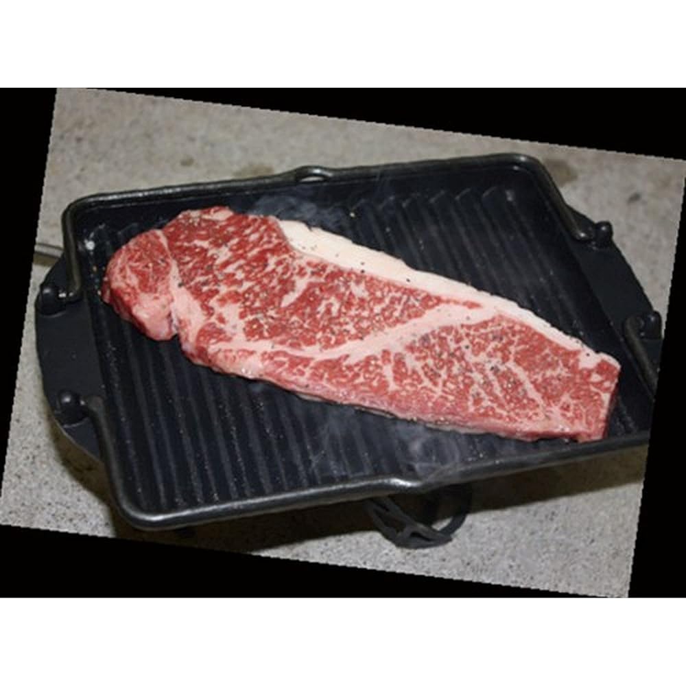 Kurofune Outdoor Camping Cooking Grill Plate Kurofune L (Brass Handle) [Genuine Japanese Product] 13782