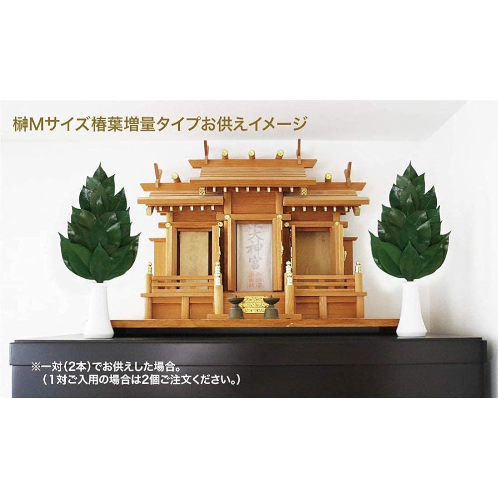 A&K Premium Sakaki Preserved (M size camellia leaf enlarged version / 1 pair / approx. height 34cm x width 14cm) Uses high quality camellia leaves from Tanba Shinto altar for offerings Sakaki