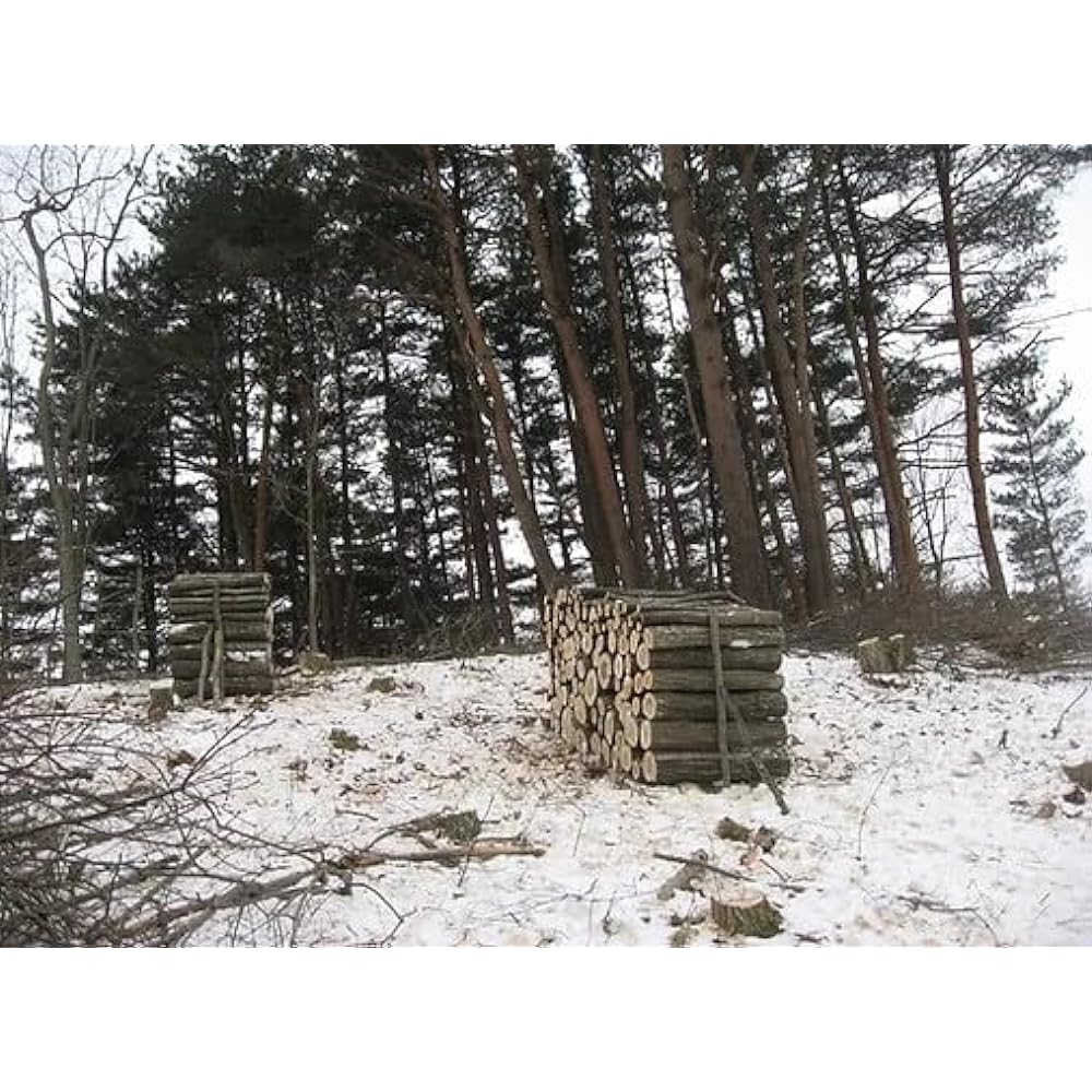 [Domestic Iwate] Nara Charcoal Sound Bag (10kg) Barbecue