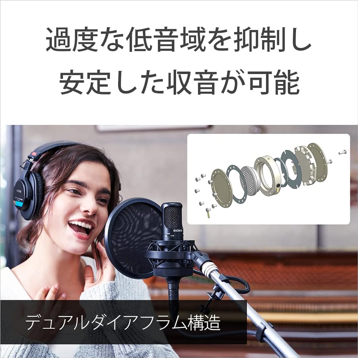 Sony Unidirectional Condenser Microphone Made in Japan φ25 Microphone Capsule C-80 Black