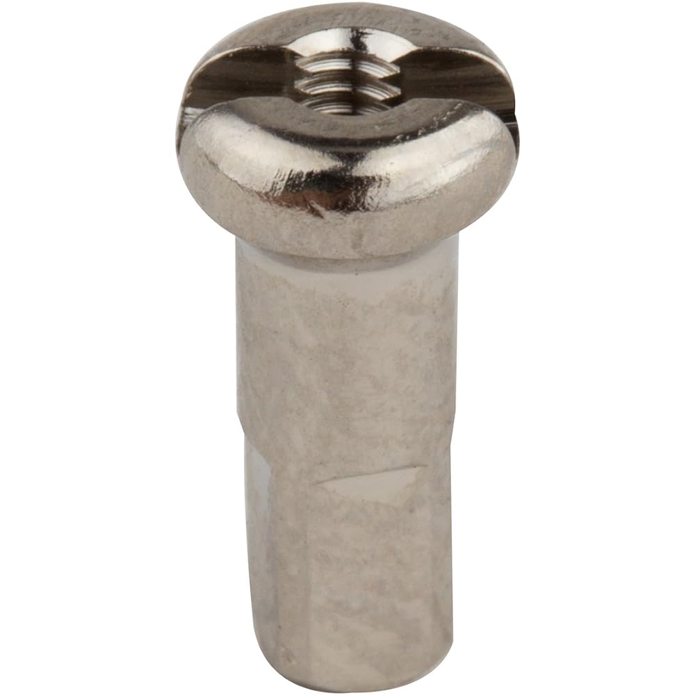 DT SWISS (DT Switzerland) #2.0 Shinchu Nipple 12mm (100 pieces) Nipple