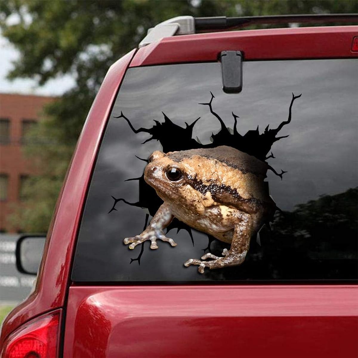 Gifts to the Ocean Burmese Chubby Frog Car Decal Wall Decal Sticker Set of 2 Realistic Car Sticker Designs Wild Animal Series 21 Sizes 8" x 8"