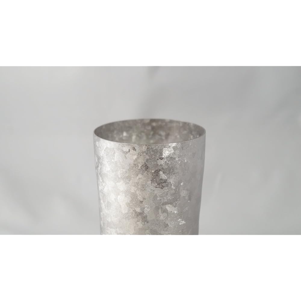 HORIE Made in Tsubame, Niigata Prefecture Titanium Double Tumbler Kiln Creation PREMIUM 350cc Silver T08KMS350