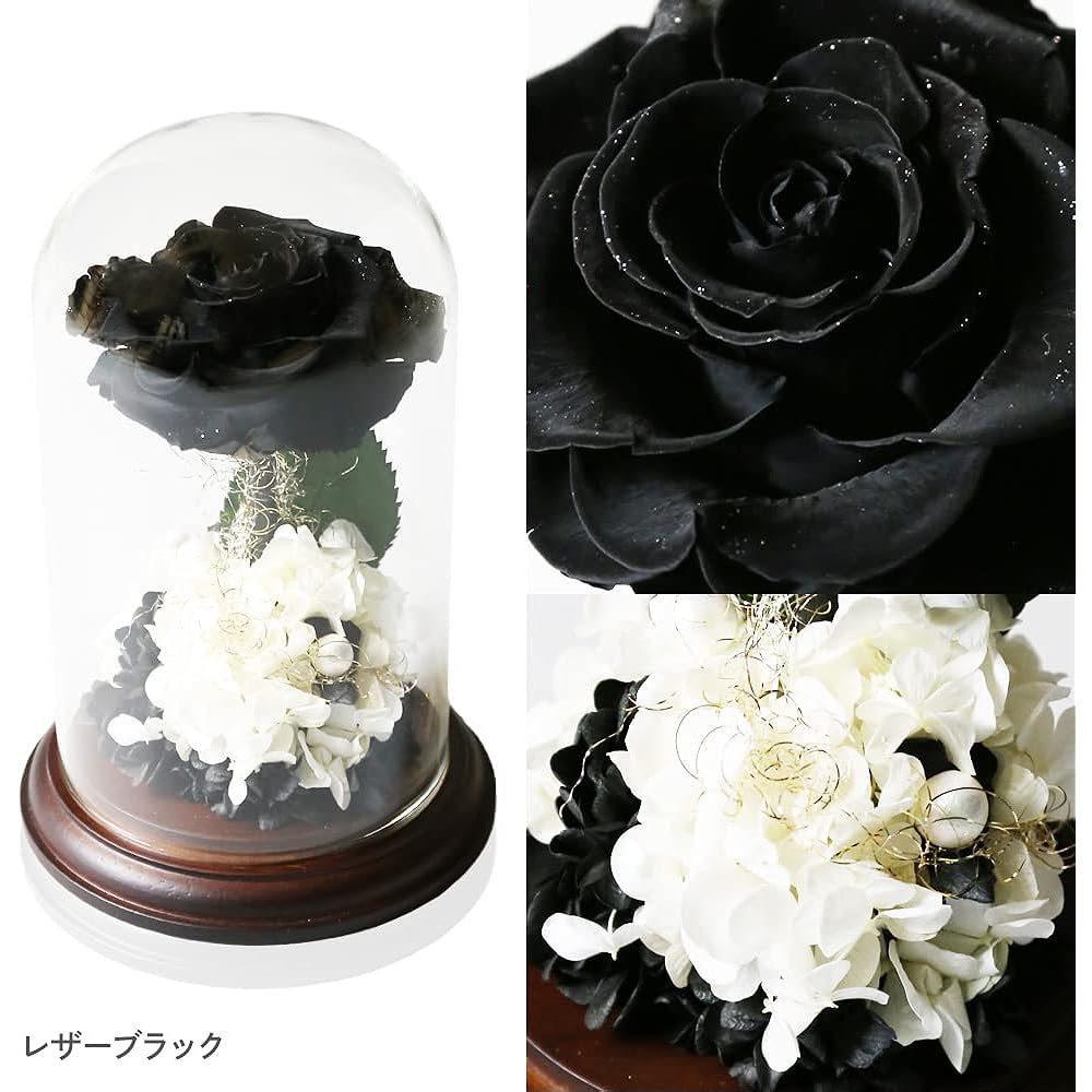 Makefuture Princess Fleur Preserved Flower Glass Dome Rose Beauty and the Beast Proposal Leather Black