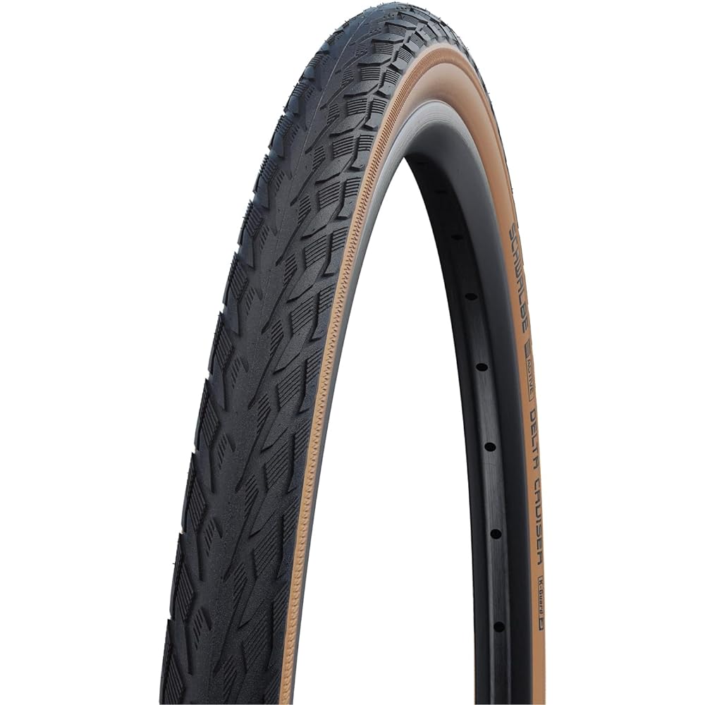SCHWALBE Delta Cruiser HS 431 K Guard Bicycle Tire with Wire Beads