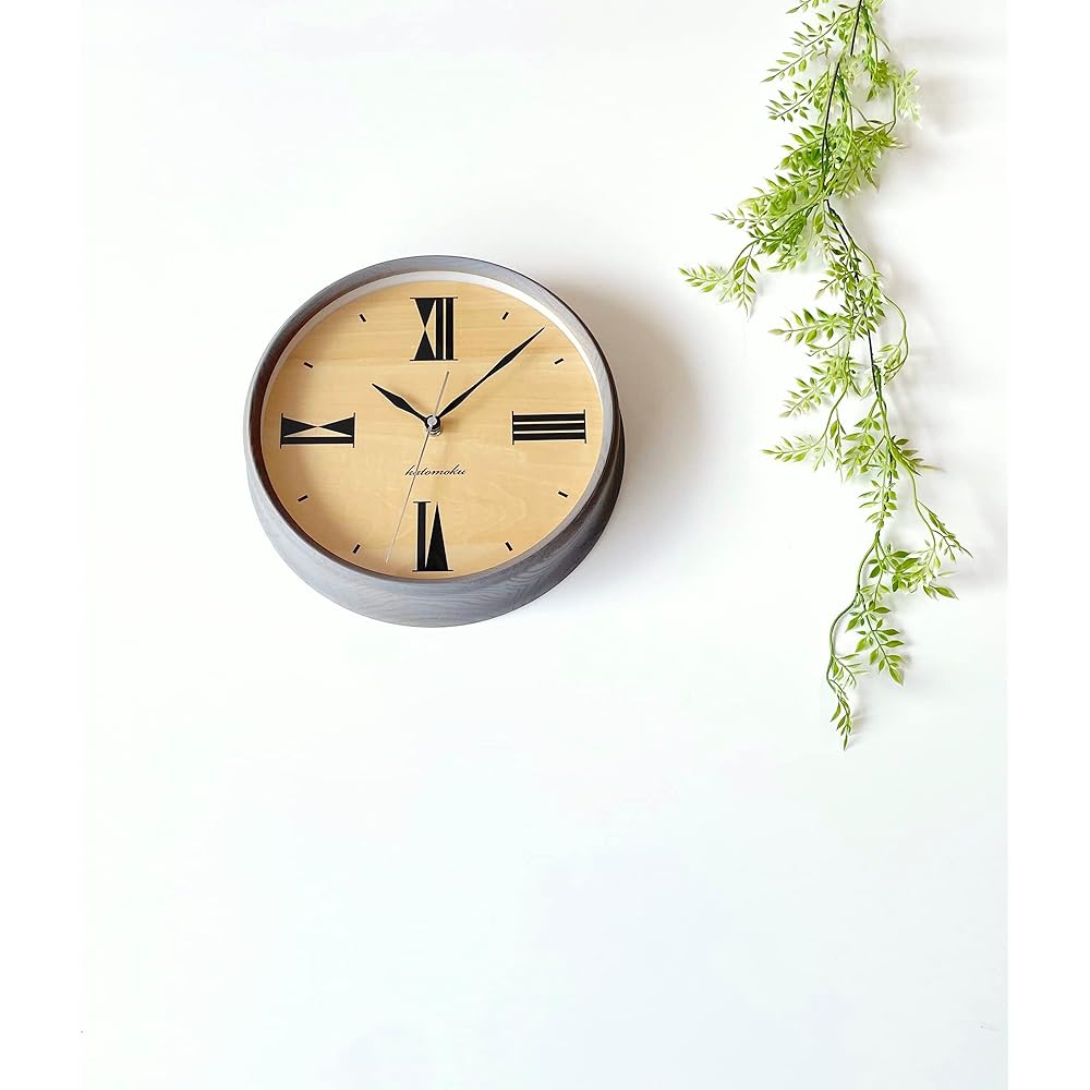 KATOMOKU muku clock 17 gray radio clock continuous second hand km-118GRRC φ306mm