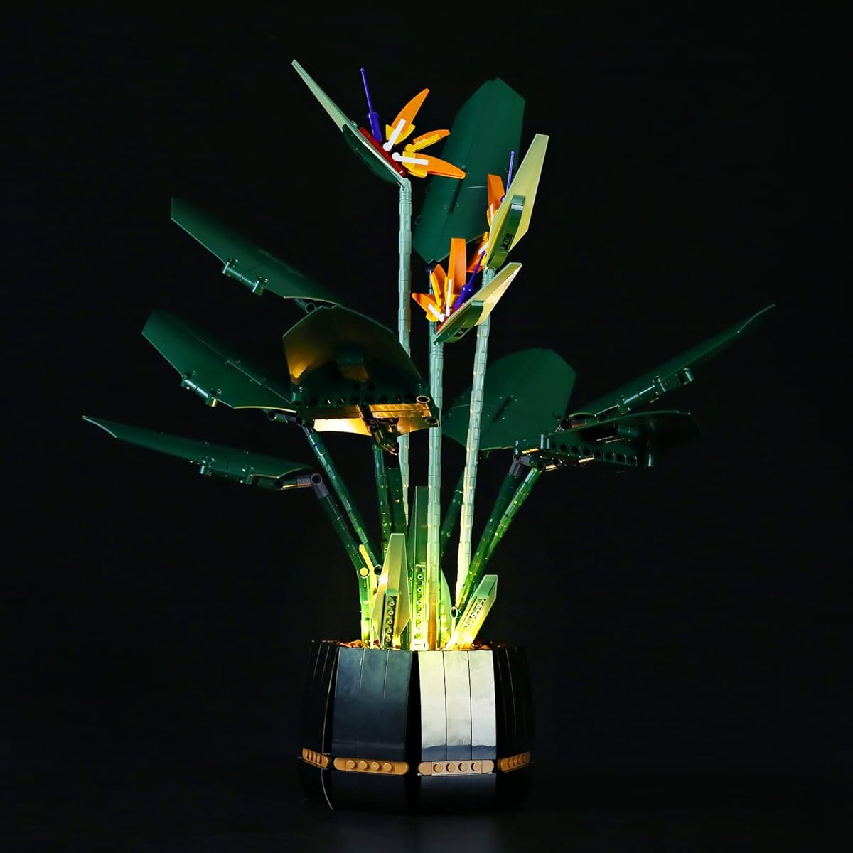 Lightailing LED Light Set for Strelitzia Building Blocks Model - LED Light Kit for Lego 10289 (Not Included)