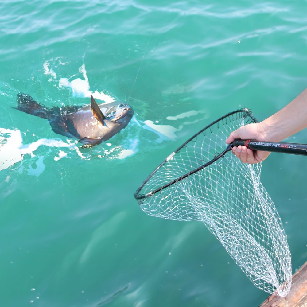 [DRESS] "2022" Landing Net 300-600 Fishing Tackle Ash Ball Net Set Ball Handle Telescopic Compact Carbon Stringer 3m 5m 6m Blue Fish Seabass Fishing Pond Boat