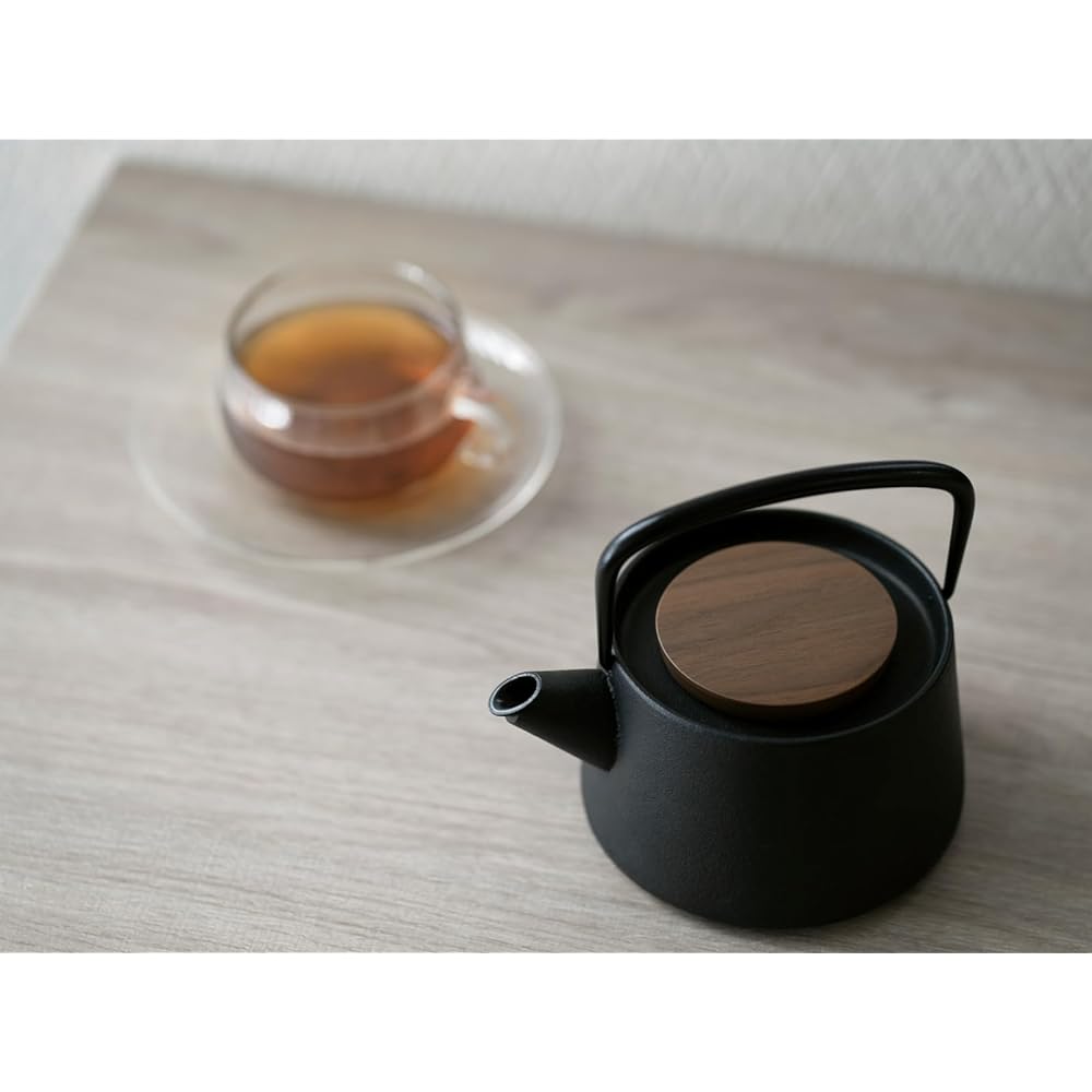 Ikenaga Tekko NEW tetu Nanbu Ironware Teapot Made in Japan Tea Ceramic 0.56L Iron Replenishment