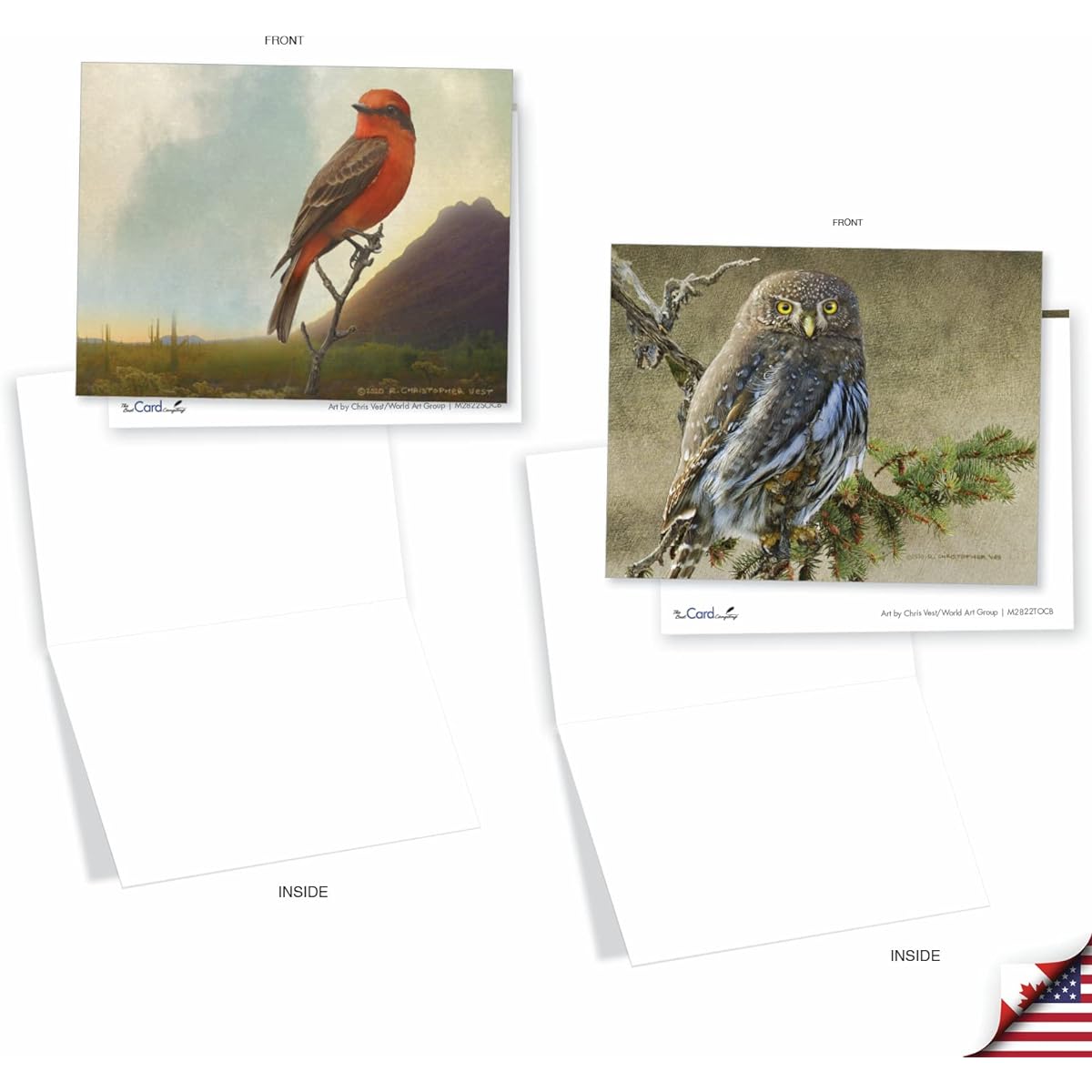 The Best Card Company Birds and Branches - Box of 20 All Occasion Note Cards with Envelopes (4.5 x 4.5 inches) - AM2822OCB-B1x20