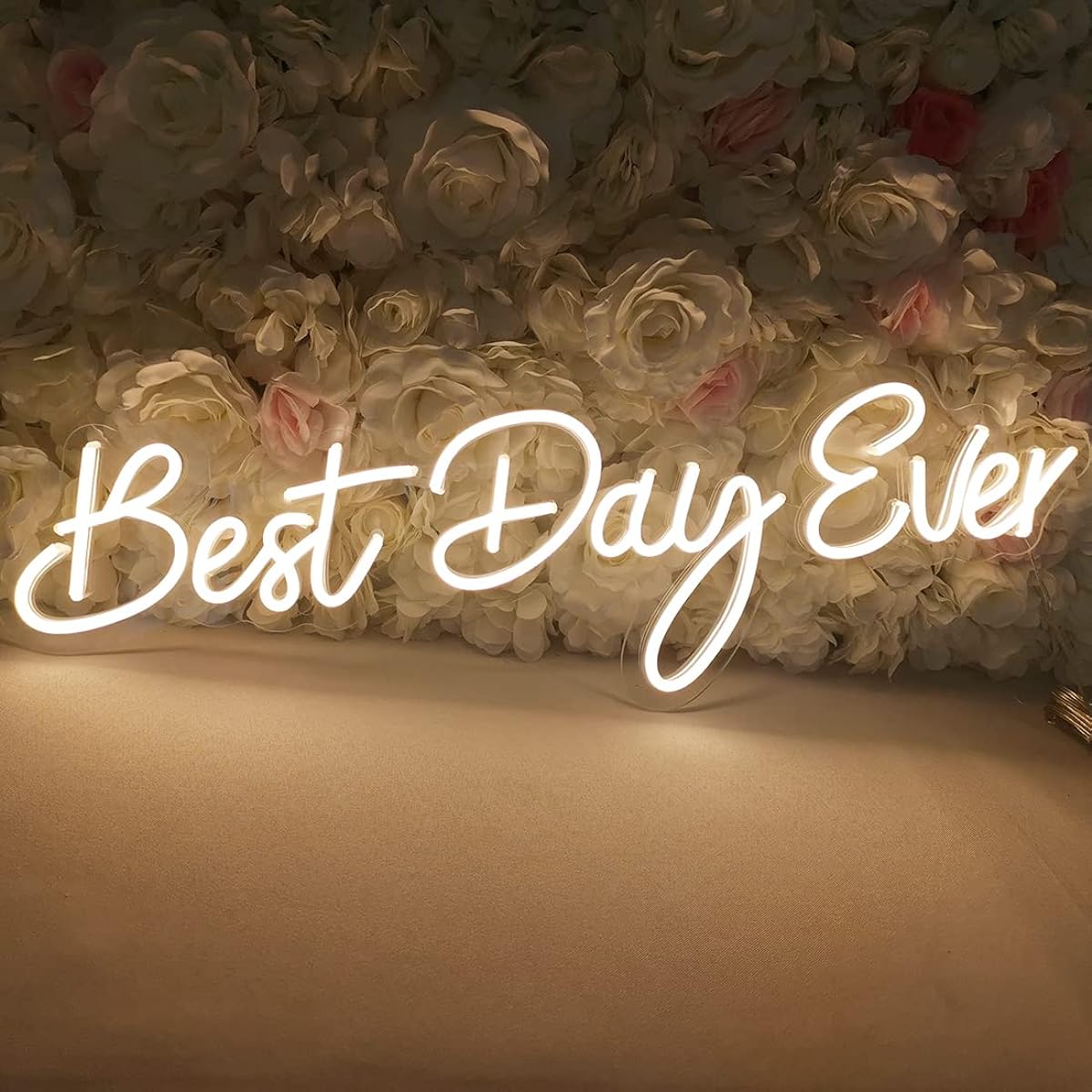 SYLHOME LED Neon Light Sign 12V Best Day Ever 26"x7.9" for Wedding/Party/Birthday/Art Wall Backdrop Sign Decor for Bedroom/Home Bar/Pub/Neon Gifts Night Light Warm White