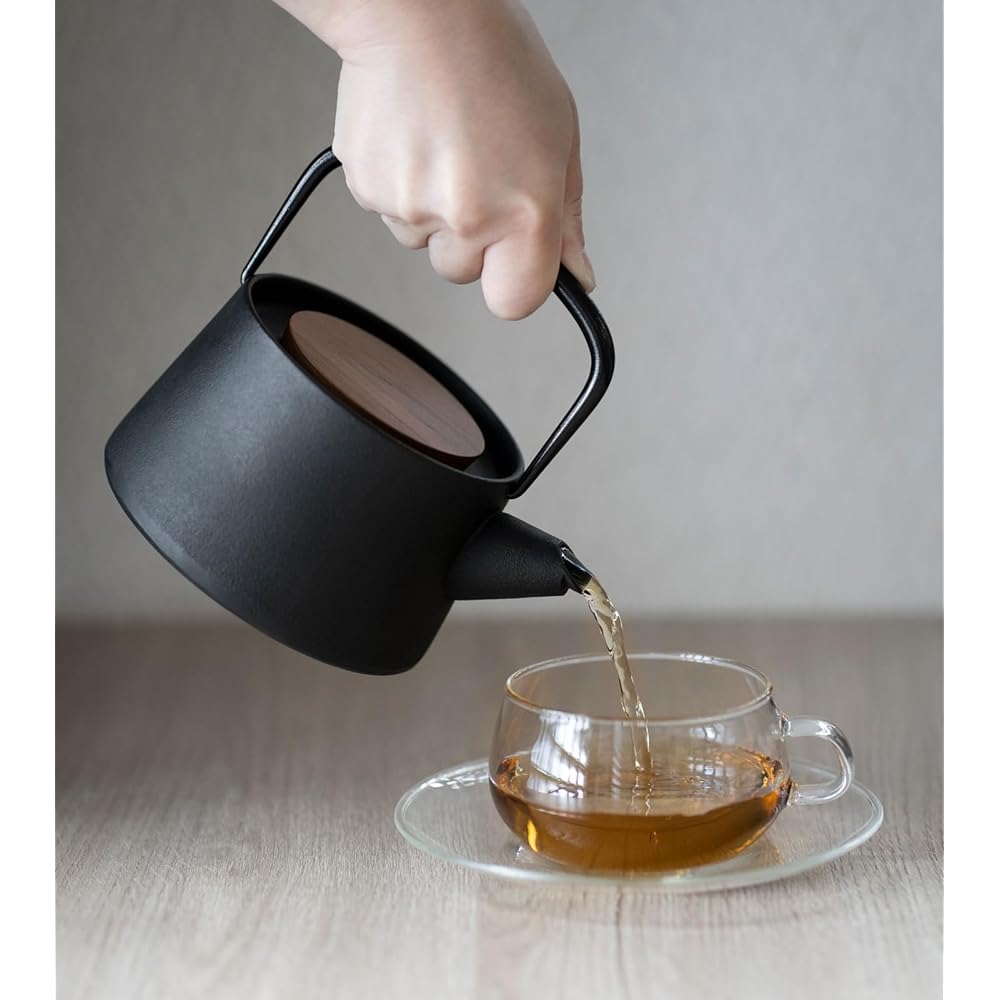 Ikenaga Tekko NEW tetu Nanbu Ironware Teapot Made in Japan Tea Ceramic 0.56L Iron Replenishment