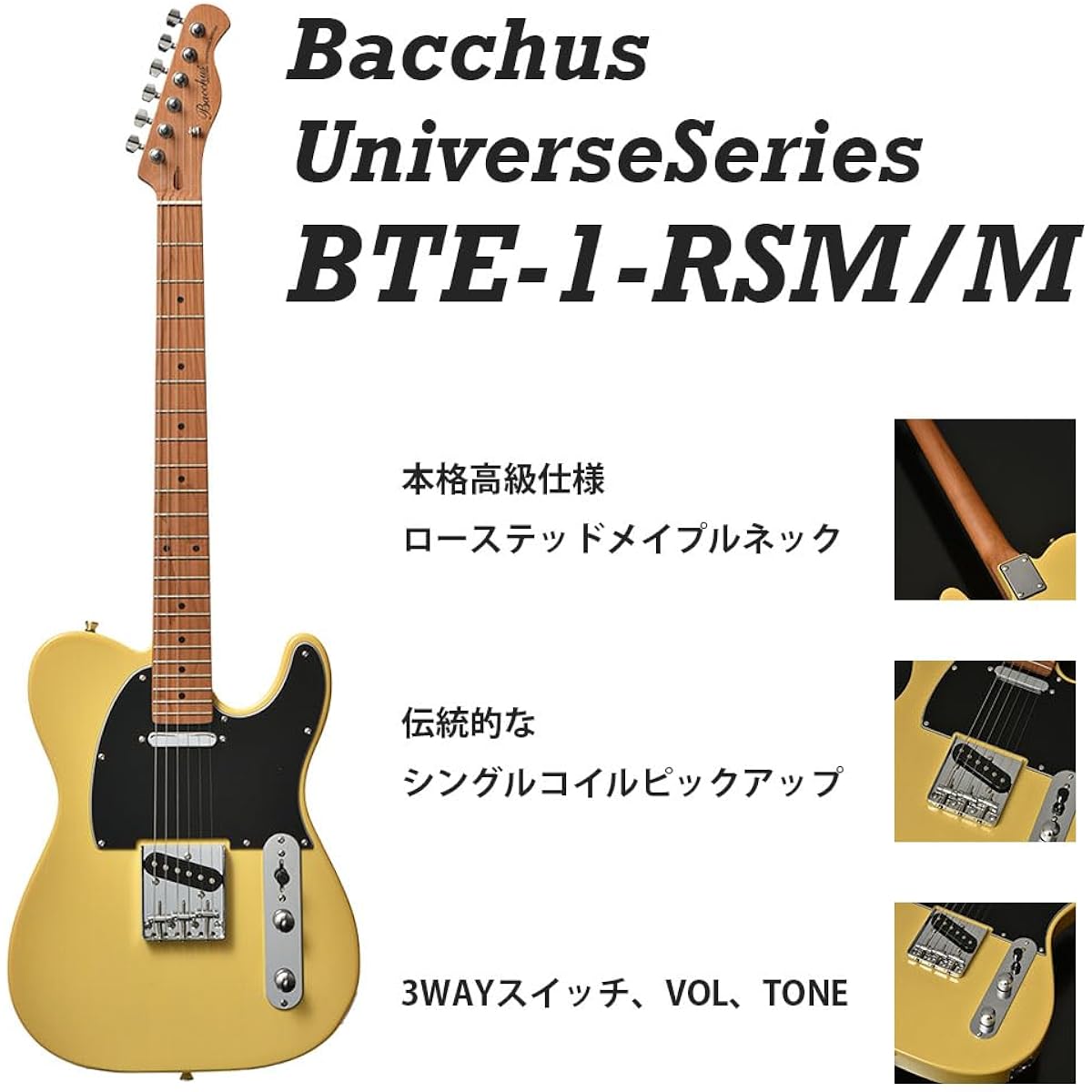 Bacchus BTE-1-RSM/M Electric Guitar Set (SLPK)