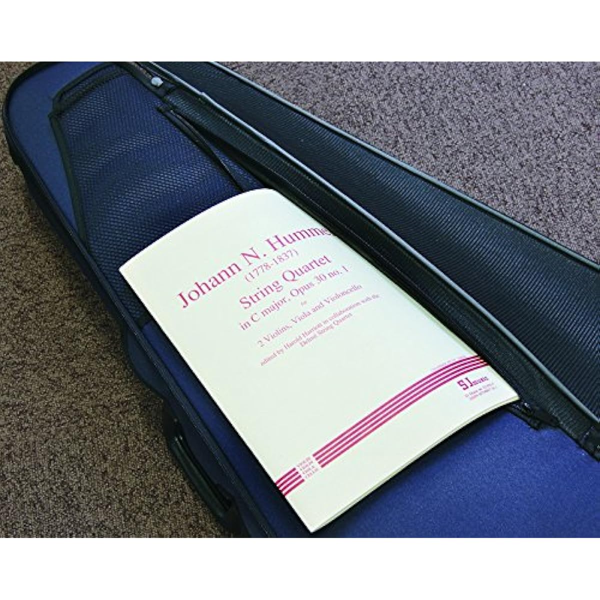 Super Light Shaped Violin Case (Triangular Type) Black