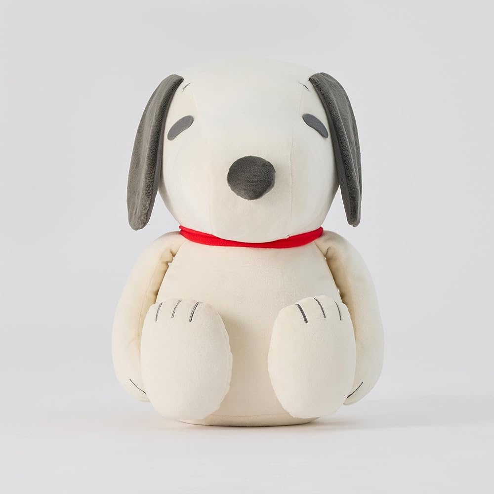 MIZUNO Healthy Interior Snoopy Medicine Ball Health Training Equipment Design that blends in with your interior Stomach area Back muscles Core From light stretching to abdominal muscle training