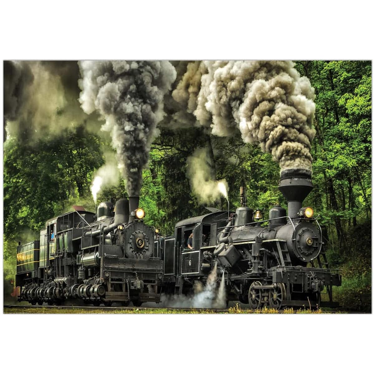 Crown Point Graphics The Great Race - 1000 Piece Jigsaw Puzzle - Artist James Aickman - Soft Touch Design - Train Puzzle Featuring Two Racing Trains, Train Tracks and Trees
