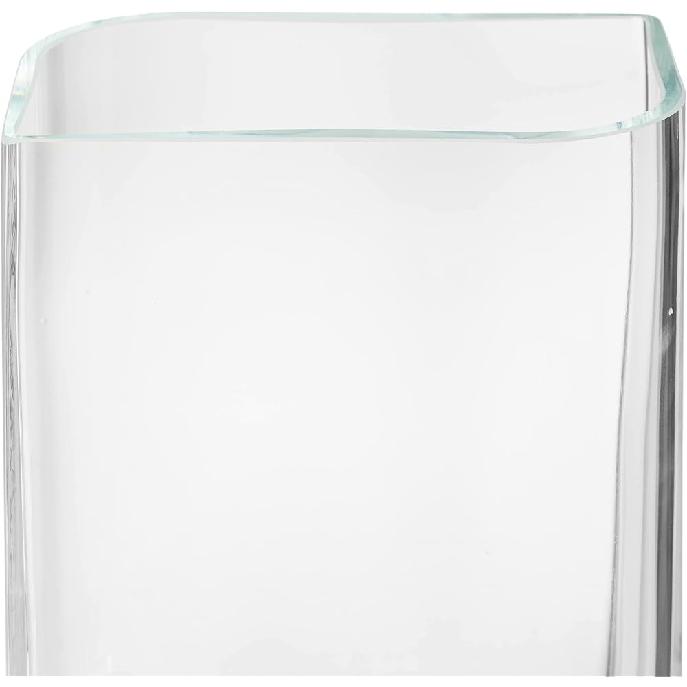 Leonardo Vase Flower Vase Lucca 25cm 014384 Clear