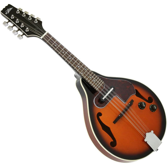 ARIA Aria Digital Mandolin AM-20E with Hard Case