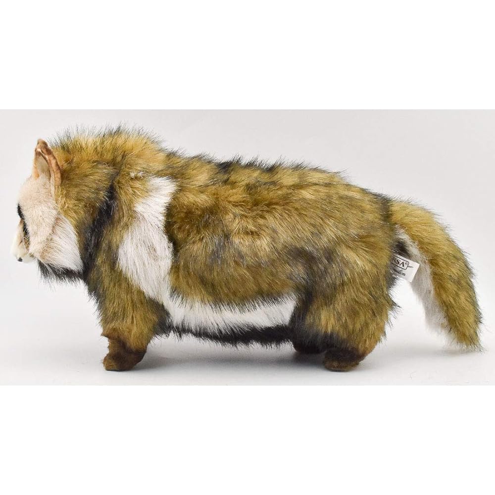 BH7256 HANSA raccoon dog 46