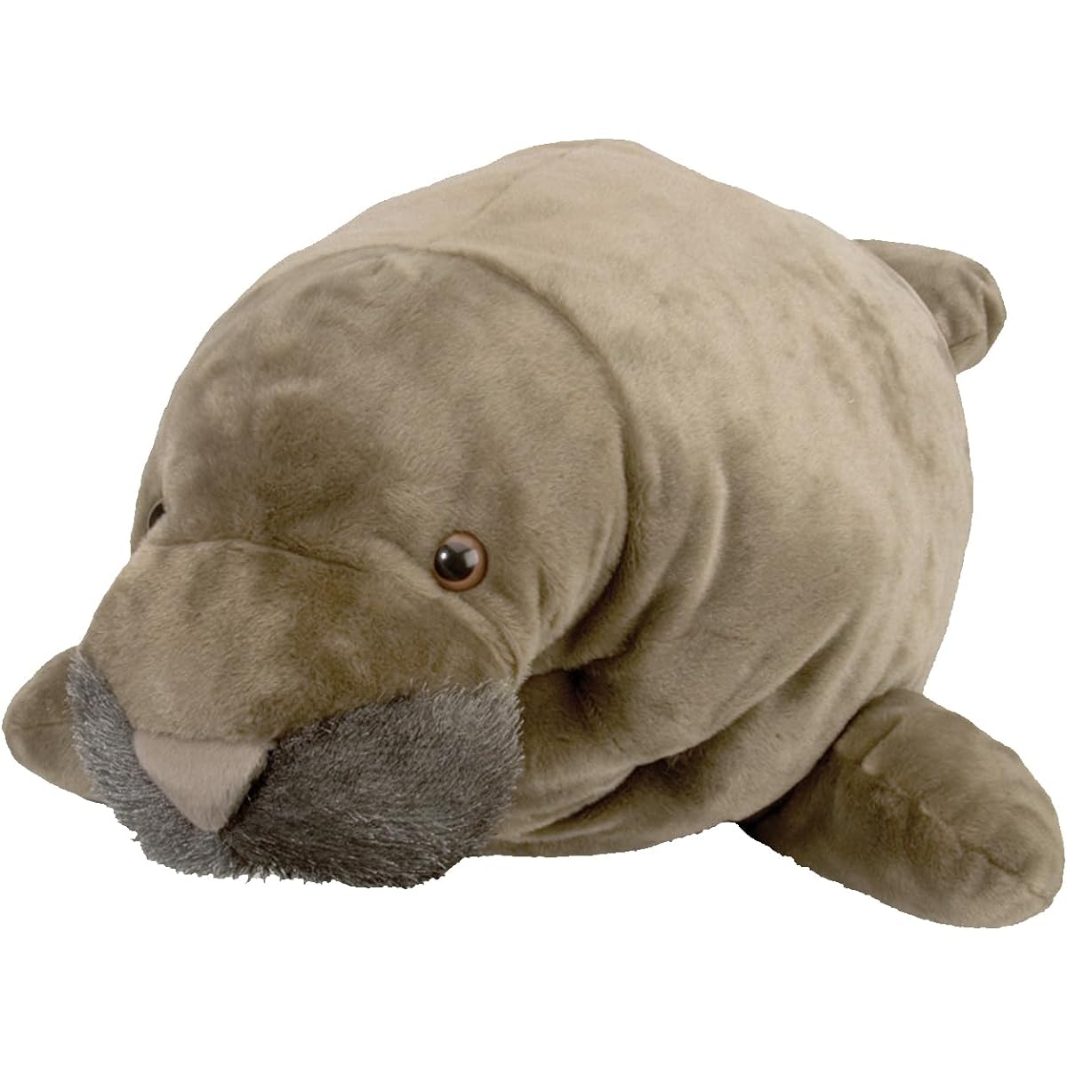 CK JUMBO MANATEE