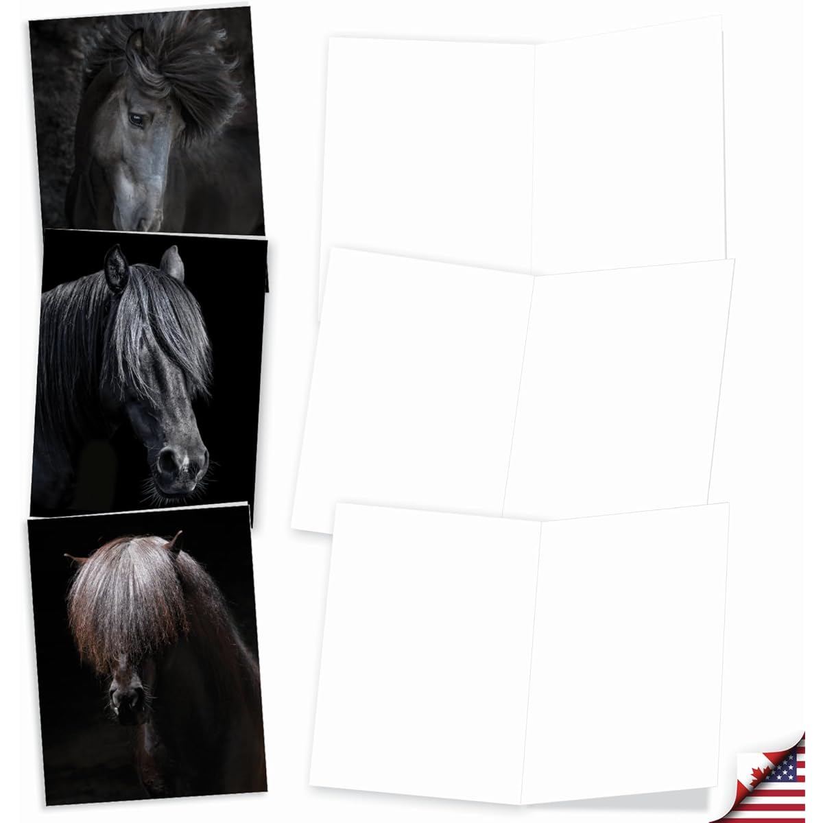 The Best Card Company Midnight Riders - 20 All Occasion Cards Boxed - Bulk Set AM9510OCB-B2x10