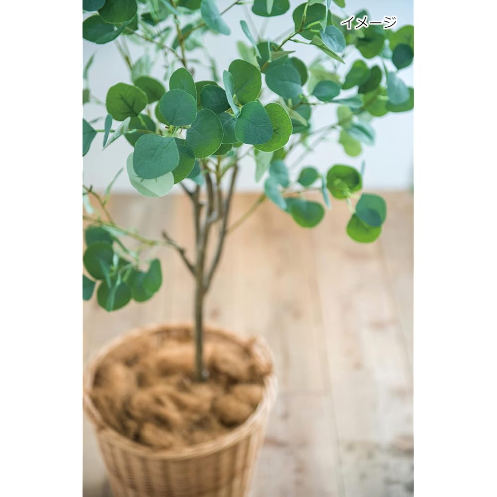 Posh Living Pot Cover Wicker Pot Cover for Size 10 Pot Natural 11676