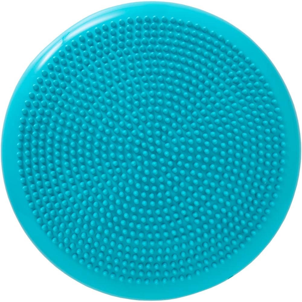 LINDSPORTS Balance Cushion with Pump