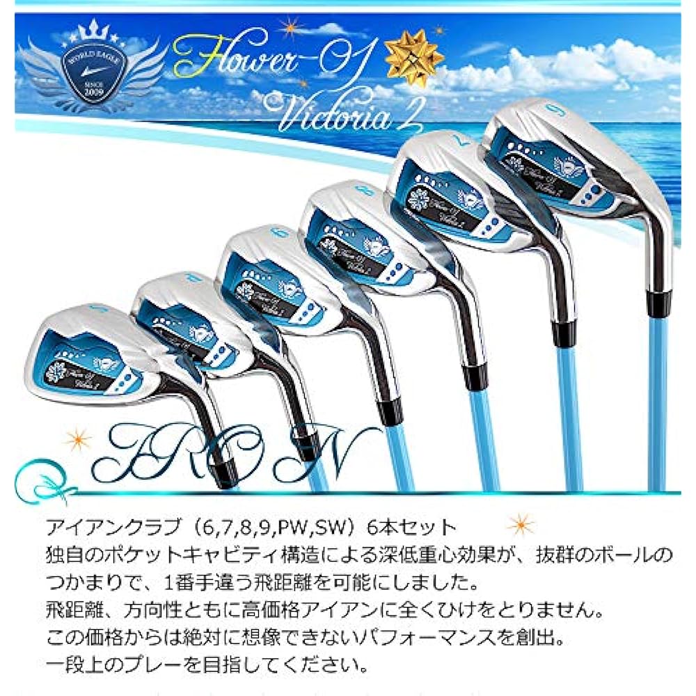 WORLD EAGLE FL-01V2 B/Berry Iron 6 Pieces Ladies