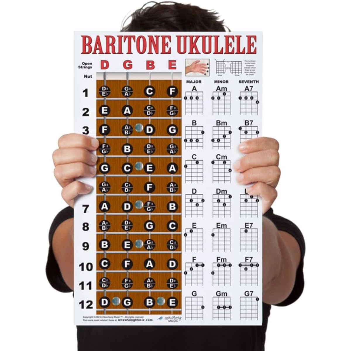 Laminated Baritone Ukulele Fretboard Notes & Easy Beginner Chord Chart 27.94cmx43.18cm Instructions Poster for Bari Uke New Song Music