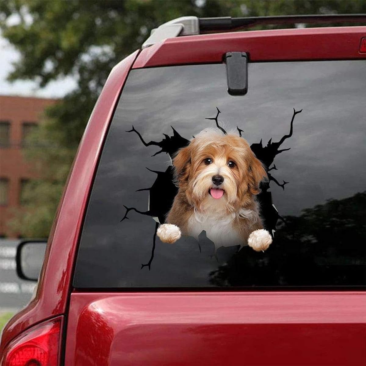Ocean Gift Havanese Car Decals Dog Car Stickers Set of 2 Realistic Havanese Stickers for Car Windows and Walls Series 71 Size 10" x 10"
