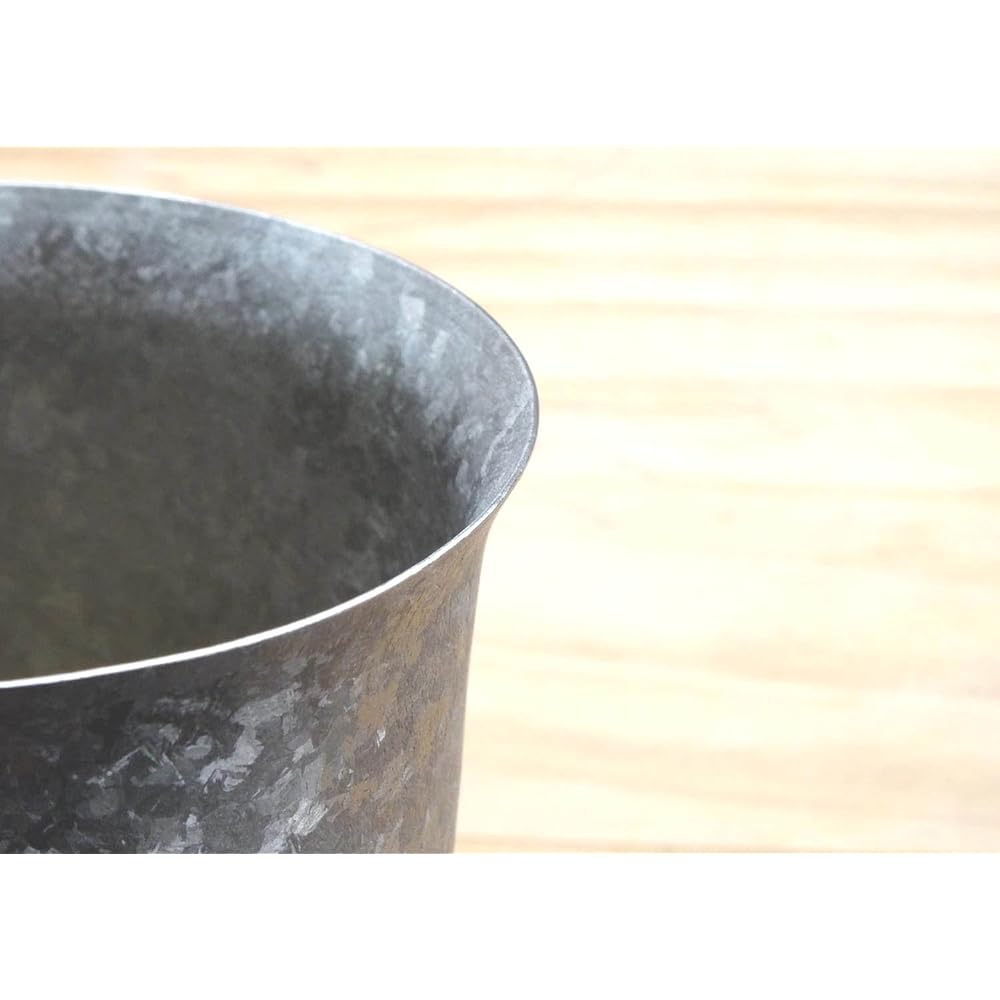 HORIE Made in Tsubame, Niigata Prefecture Titanium double tumbler Kiln making Wide mouth 250cc Silver T14KMS250