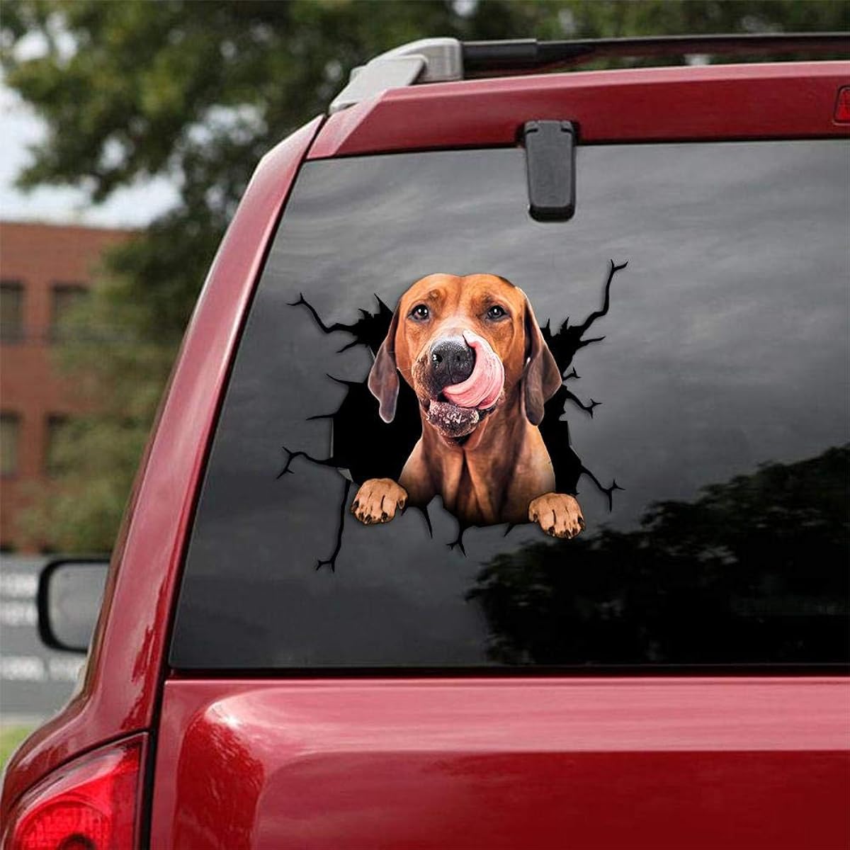 Ocean Gift Rhodesian Ridgeback Car Decals Dog Car Stickers Set of 2 Realistic Rhodesian Ridgeback Stickers for Car Windows Wall Series 75 Size 12" x 12"