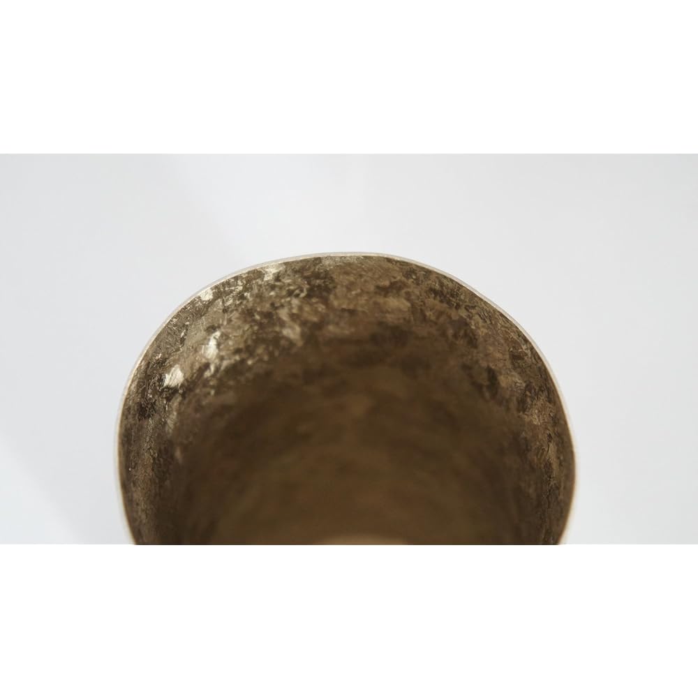 HORIE Made in Tsubame, Niigata Prefecture Titanium double tumbler Kiln making PREMIUM 350cc Gold T08KM350