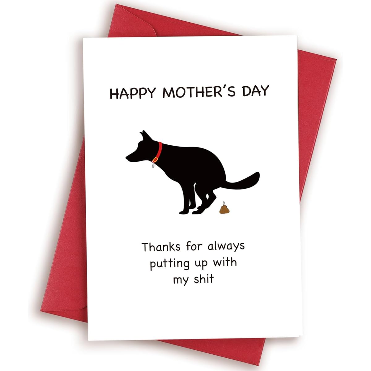 HEALSLA Funny Dog Mom Card Hilarious Dog Gift Rude Mother's Day Card for Women Card for Dog Mom Pet Mother's Day Card Thank for Putting Up with Me