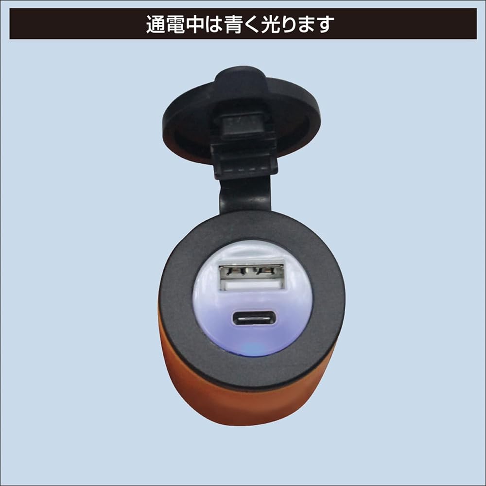 BMO JAPAN 40B0037 USB socket 2 ports (Type-A/Type-C) with alligator cable