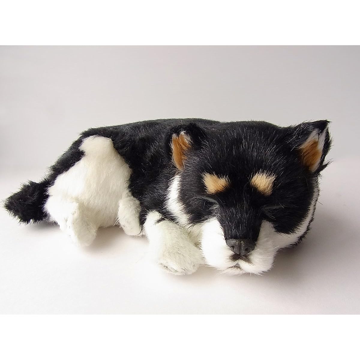Nini and Kino Perfect Pet (Small Size) Shiba Inu (Black) Stuffed Toy Dog Dog Realistic Looks Like Kuroshiba Kuroshiba Miscellaneous Animal Healing Moving Present Gift Celebration Cute Dog Stuffed Toy