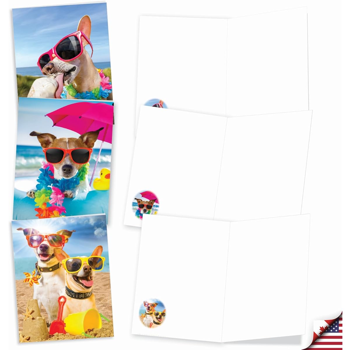 The Best Card Company - 20 Bulk Dog Note Card Blanks (4 x 5.12 inches) - Adorable Pet Puppy Note Cards (10 Designs, 2 of Each) - Dogs on the Beach AM9264OCB-B2x10
