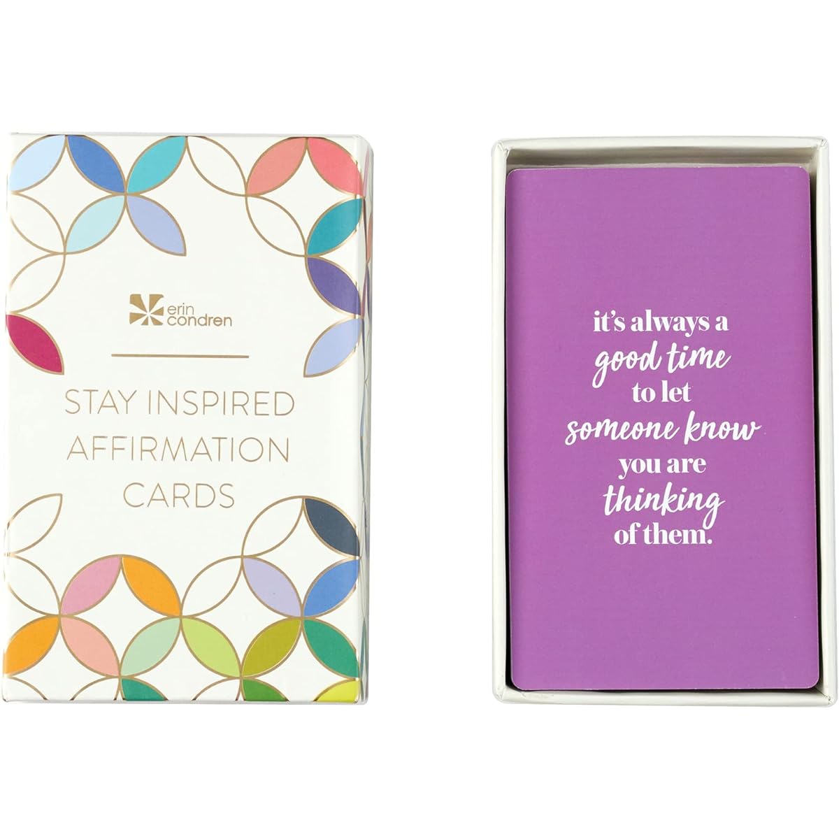 Erin Condren Daily Positive Affirmation Card Set - 54 Sayings & Motivation Cards - Motivation & Positive Thinking