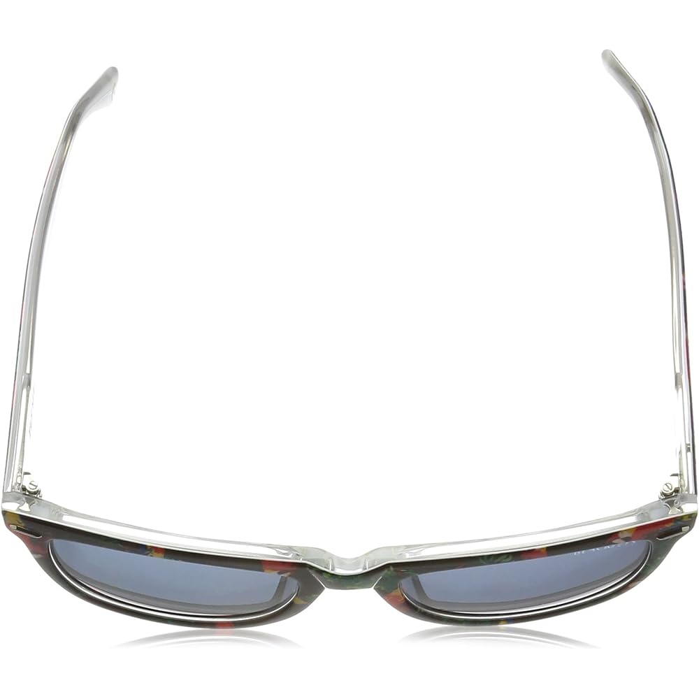 [Black Fries] Sunglasses BF-13834 Men's