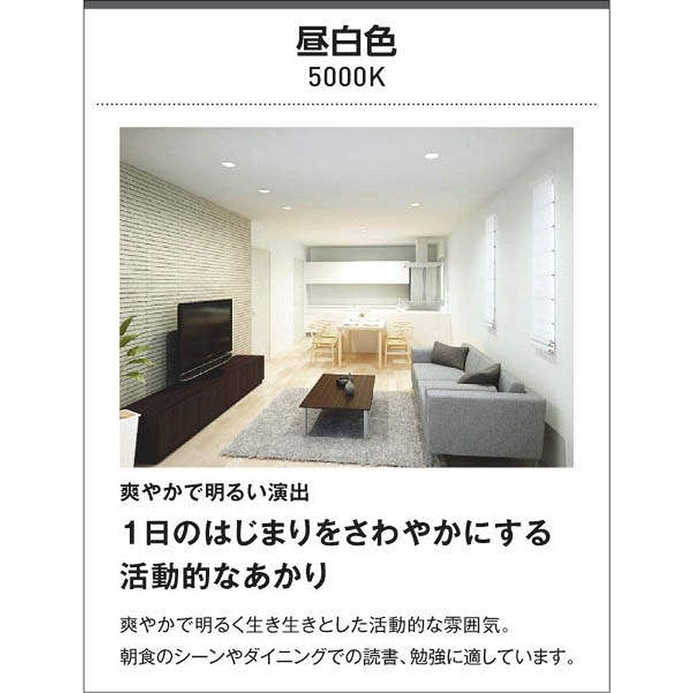 Koizumi Lighting Rainproof/Moisture Proof Eave Ceiling Direct Mount/Wall Mount Equivalent to FCL30W Daylight White Black AU45017L