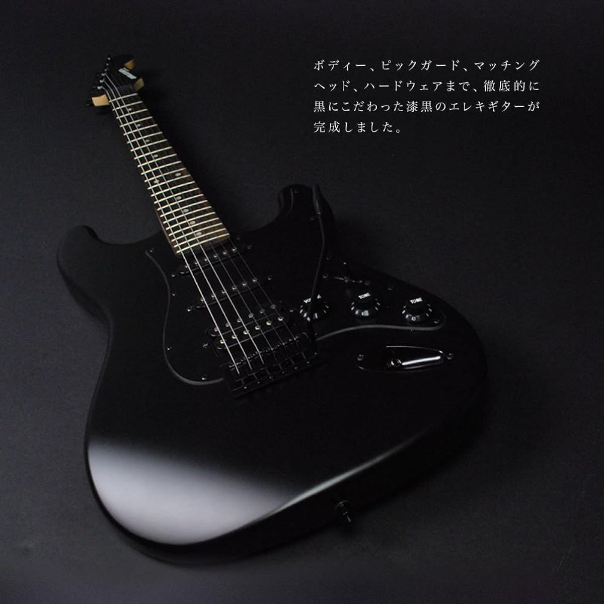 SELDER Electric Guitar Stratocaster Type Sakura Musical Instruments Original STC-04/BB Beginner Introductory Limited Set