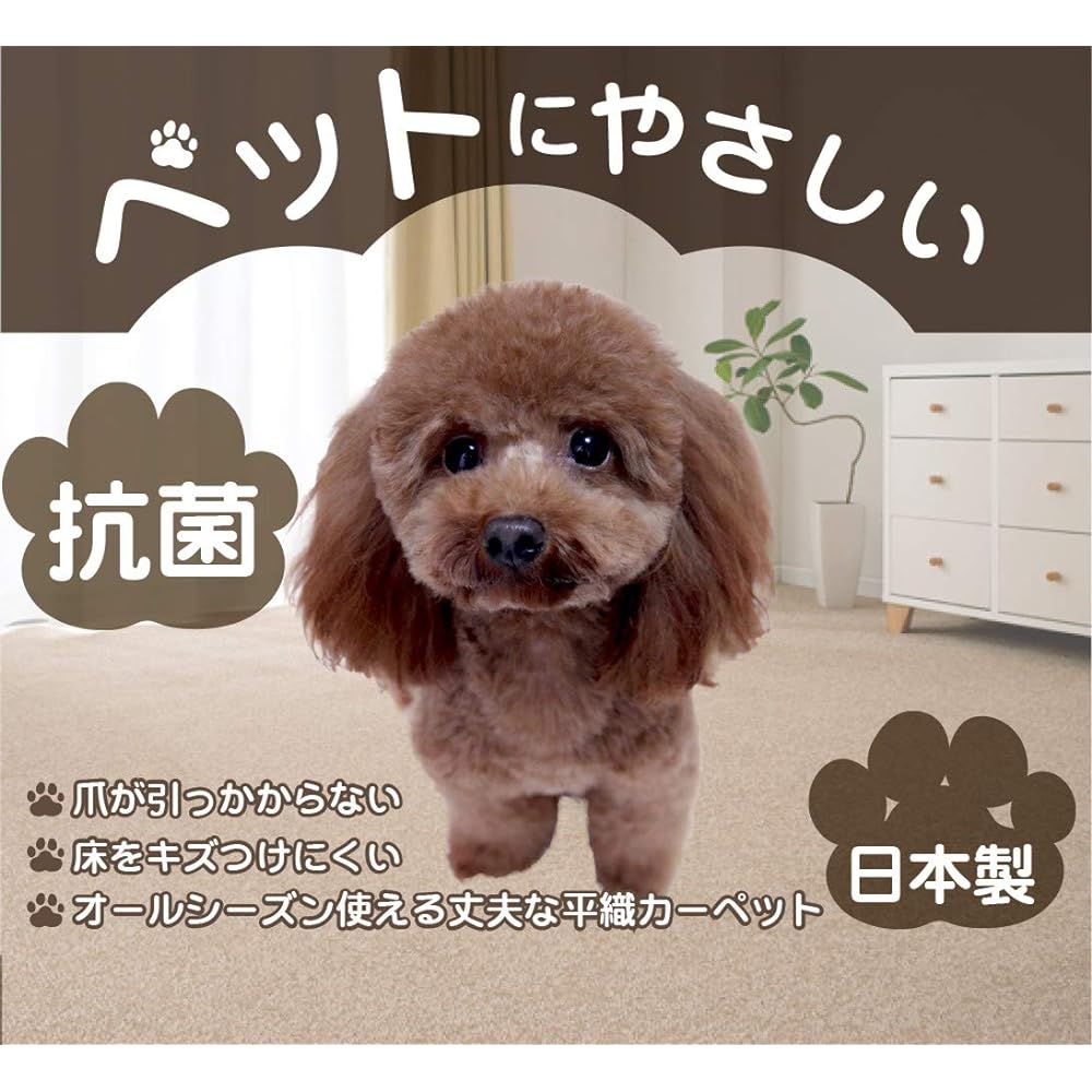 Arie Carpet Black Width 261 x Depth 352 cm (Edoma 6 tatami) Made in Japan Antibacterial Free Cut Pet Friendly Soleil